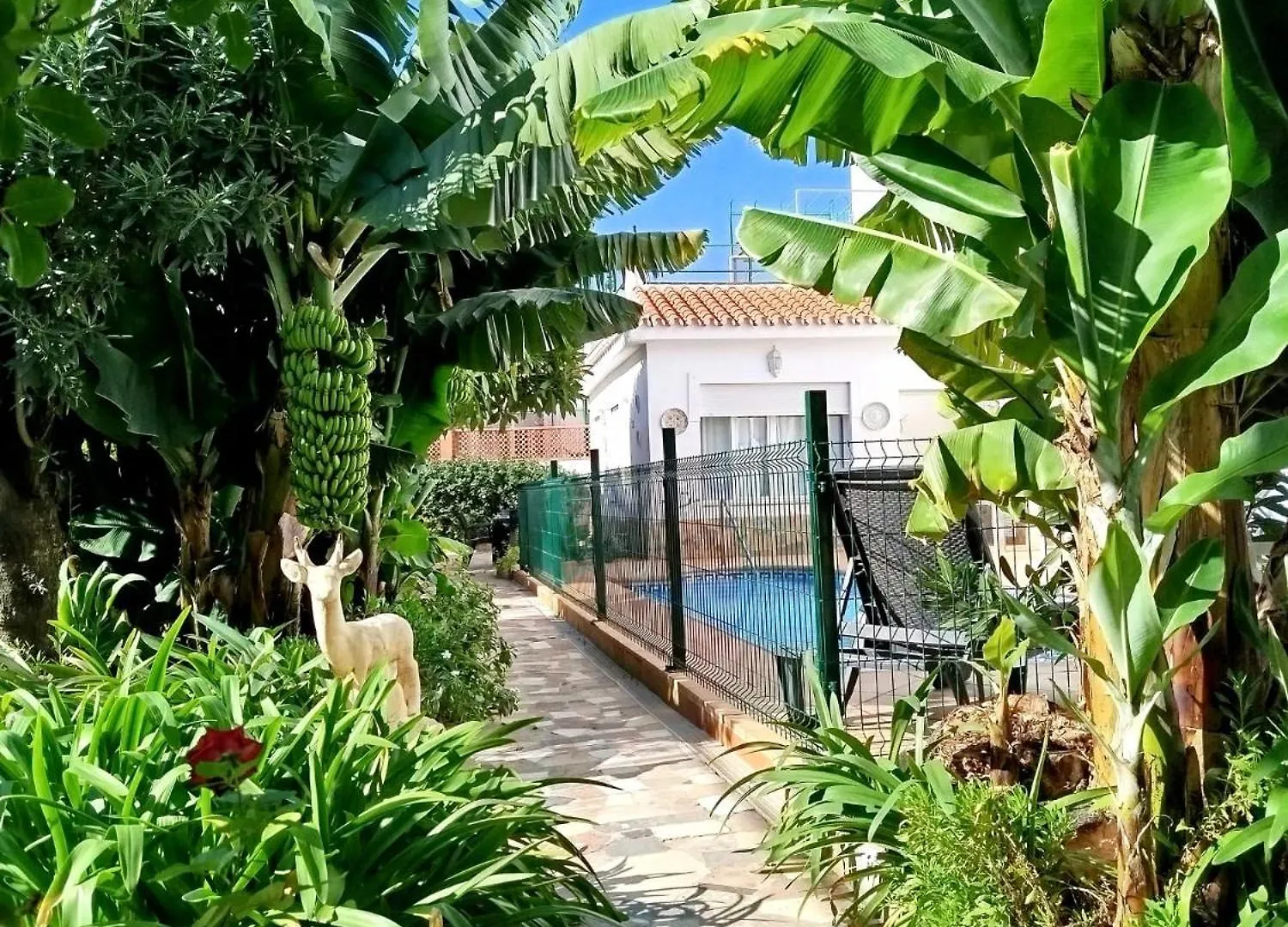 El Jardin Benerja Apartment Spain